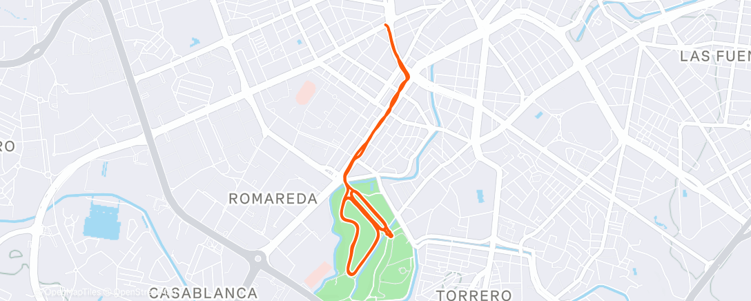 Карта физической активности (Morning Run)