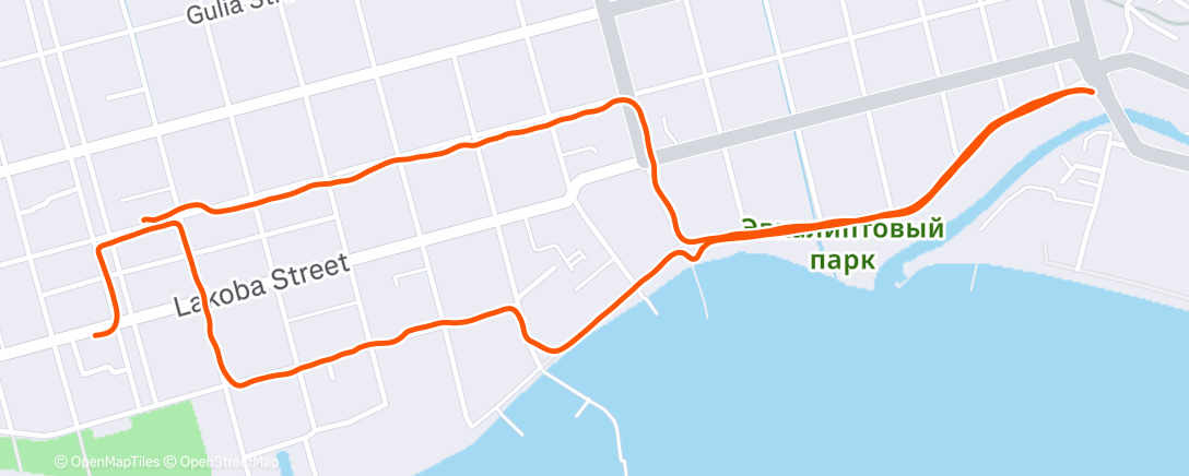 Map of the activity, Morning Run