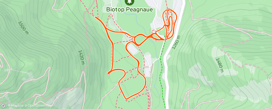 Карта физической активности (Afternoon Nordic Ski)