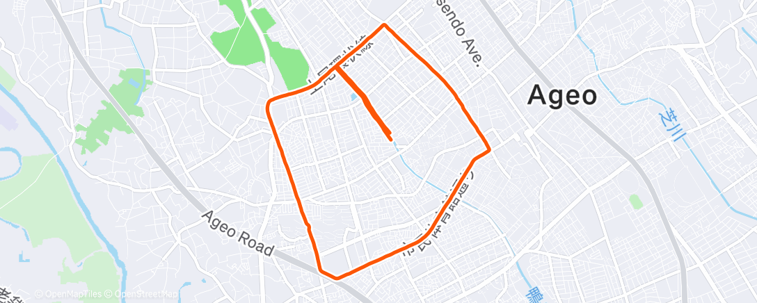 Map of the activity, Morning Run