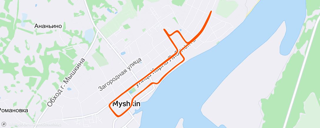 Map of the activity, Morning Run