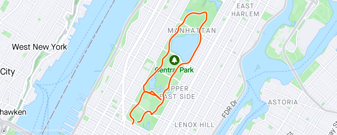 Map of the activity, Central Park - NYC
