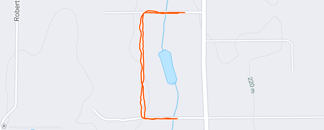 Map of the activity, Lunch Walk
