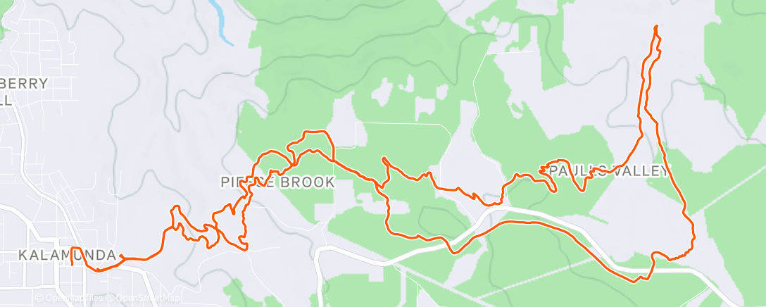 Mapa de la actividad (New year)