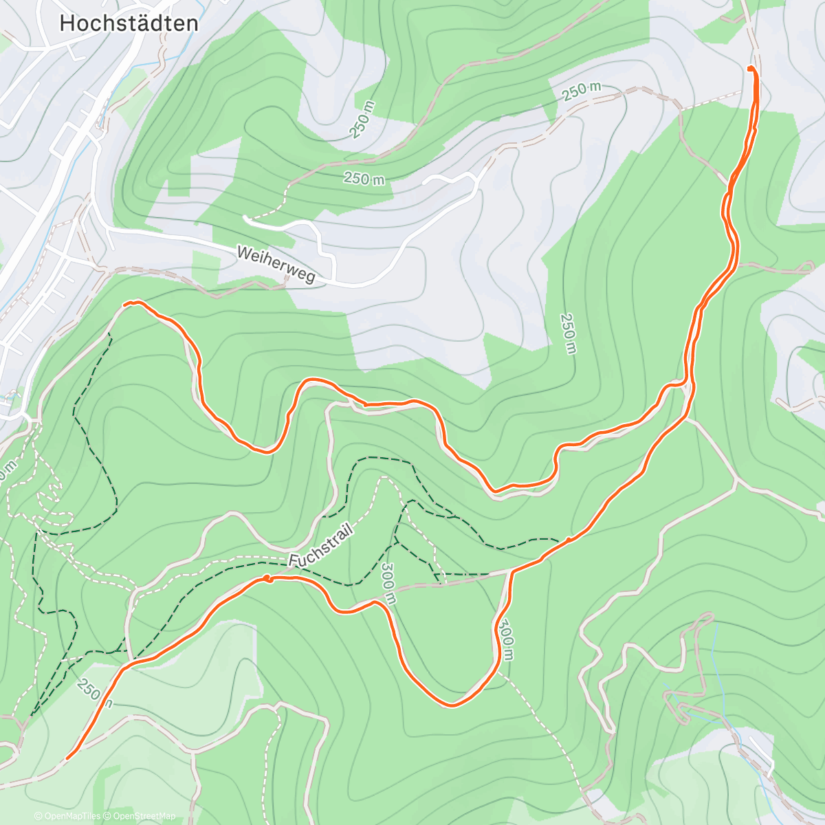Map of the activity, Mittagspaziergang