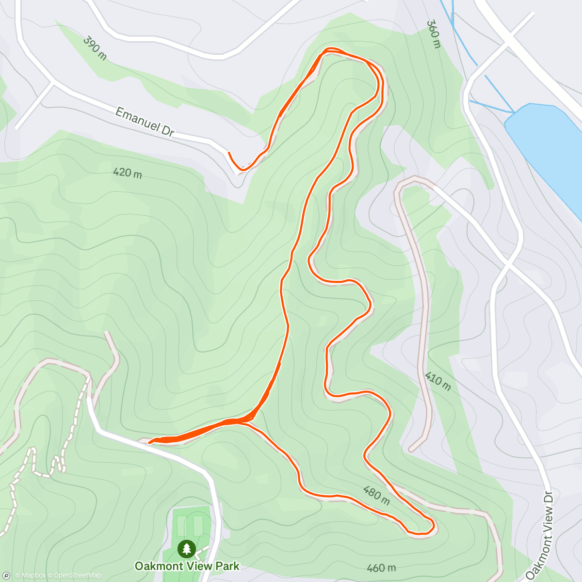 Map of the activity, swattin’ flys