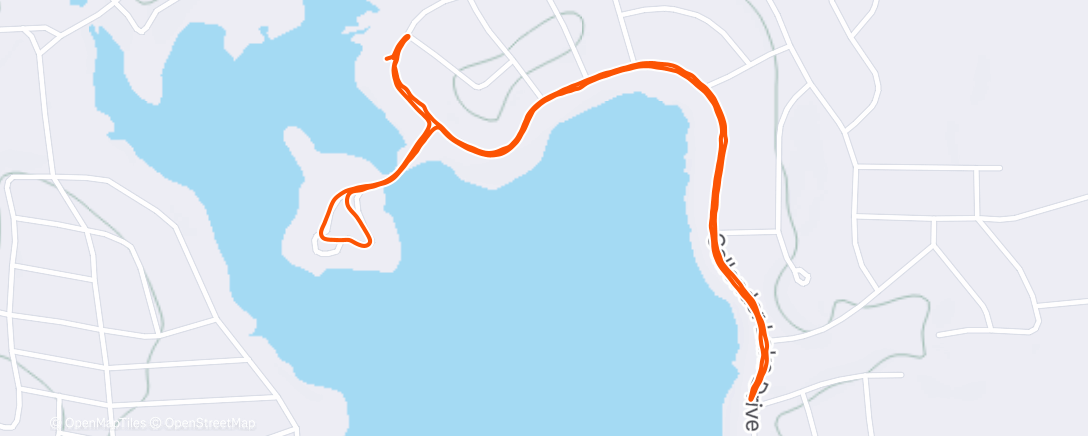 Map of the activity, Morning Run