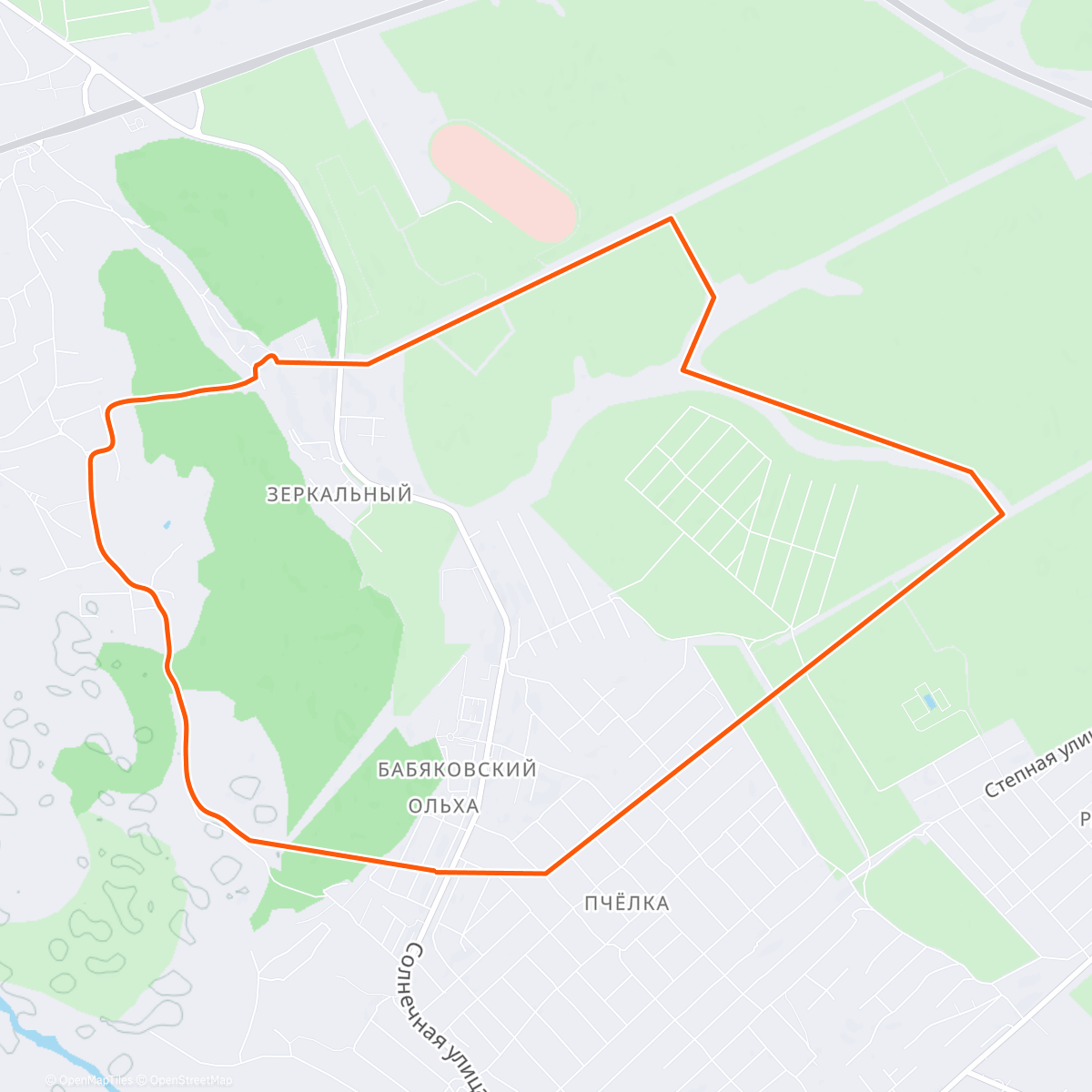 Карта физической активности (Прогулка)