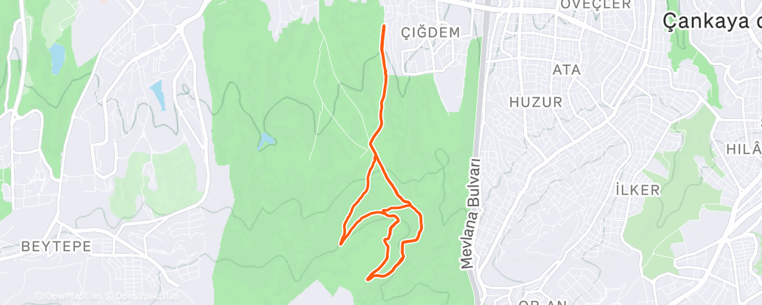 Map of the activity, Lunch Trail Run