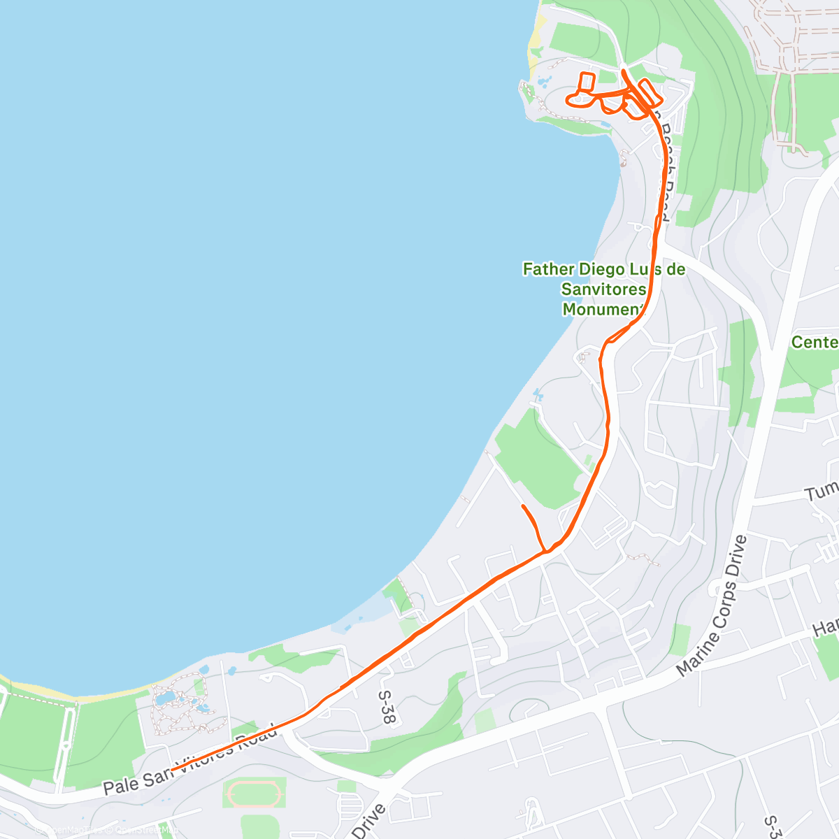 Карта физической активности (Morning Run)