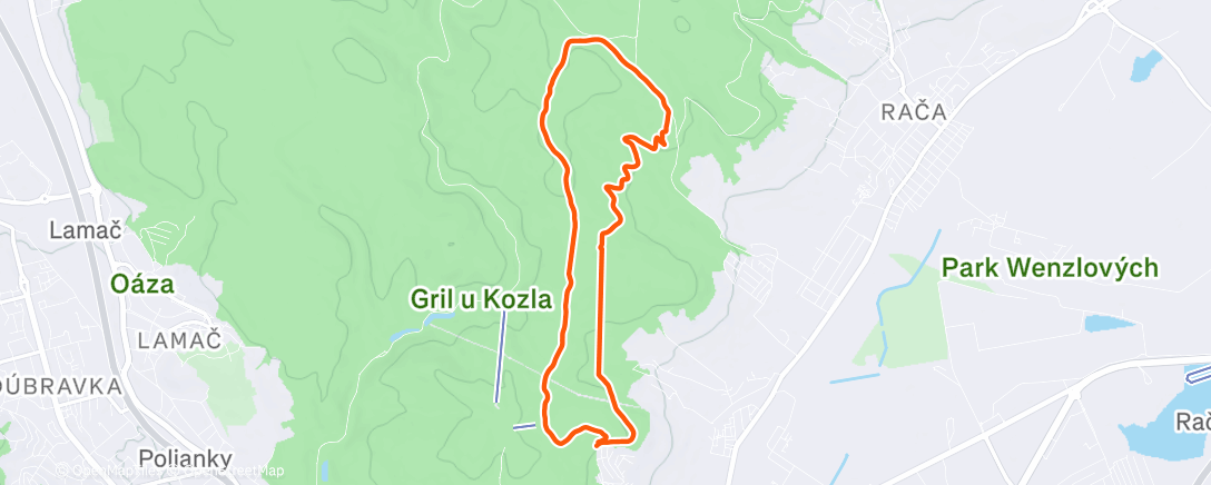 Карта физической активности (Lunch Run)