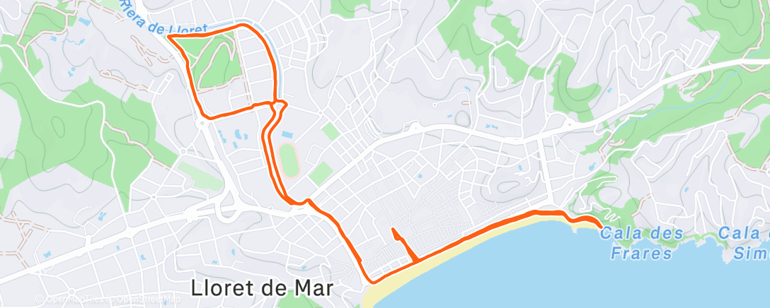 Карта физической активности (Утренний забег)