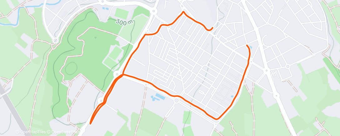 Карта физической активности (Carrera de mañana)