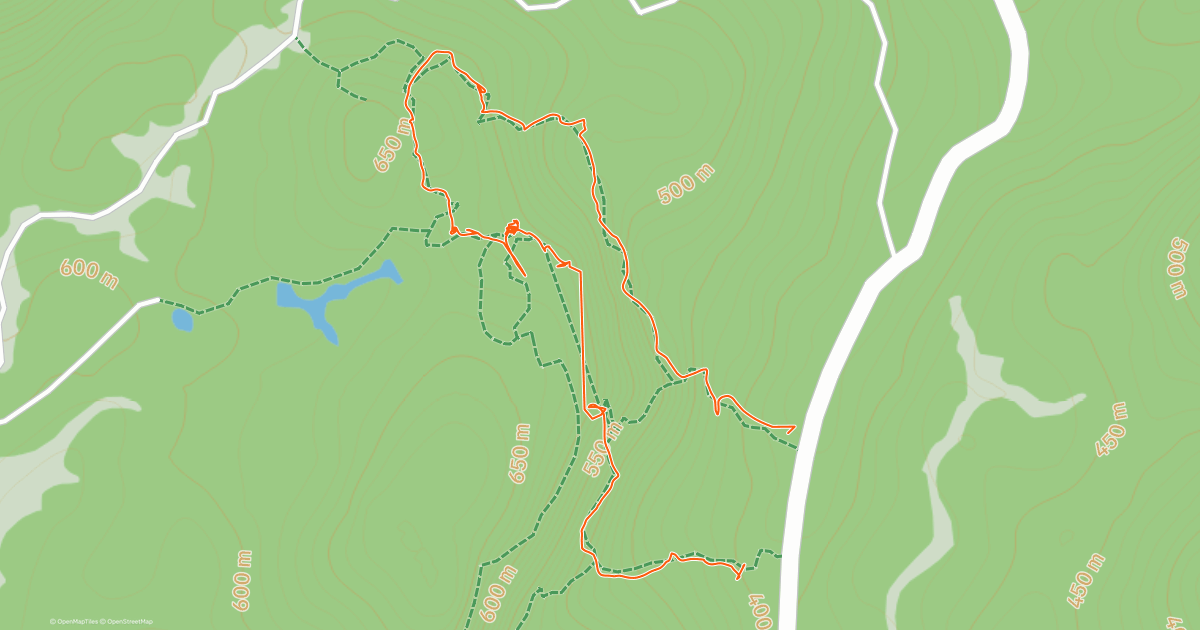 午間步行 | Strava