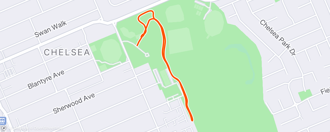 Map of the activity, Morning Run