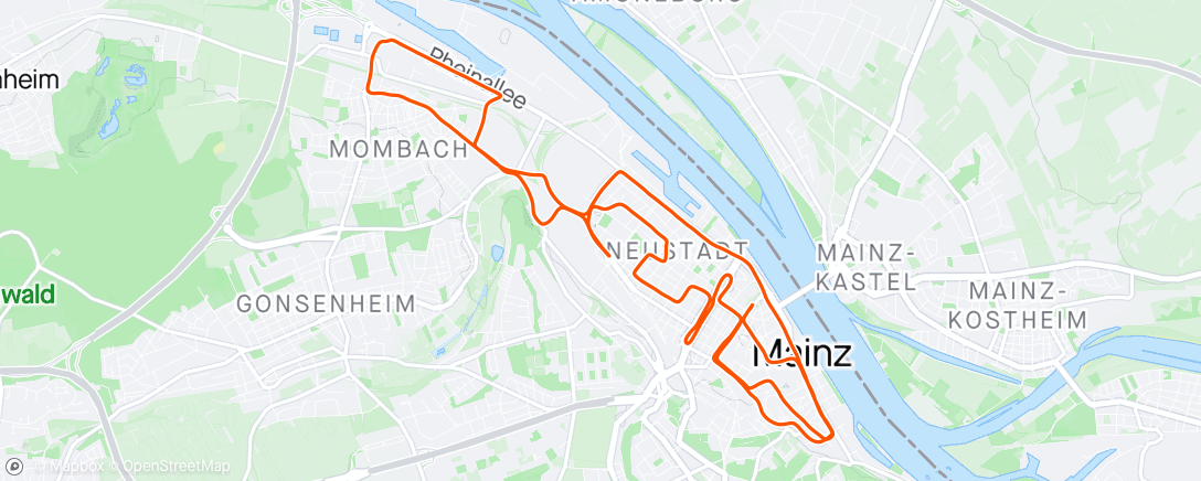 Mapa de la actividad (Mainz Halbmarathon)