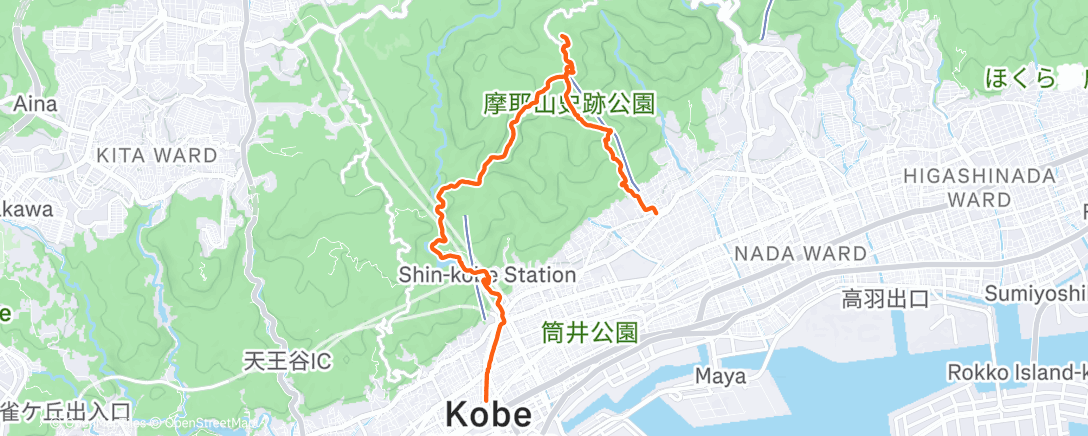 Карта физической активности (年末六甲DE朝活2025)