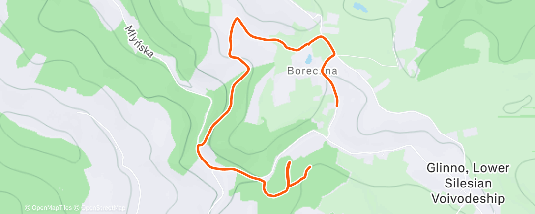 Map of the activity, Boreczna Hike ❄️