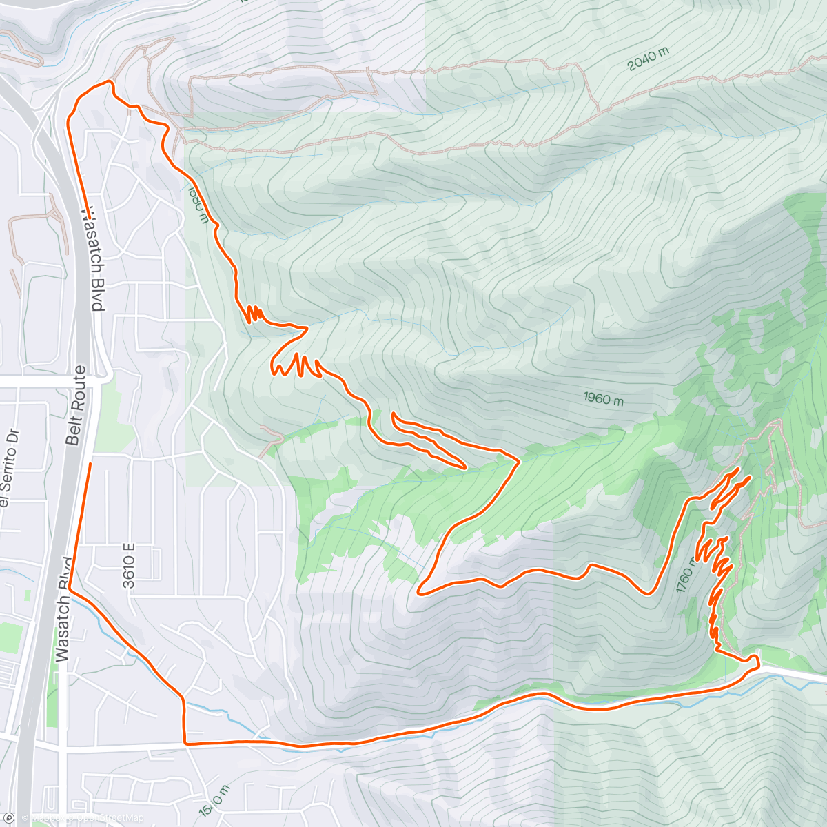 Map of the activity, cove loop