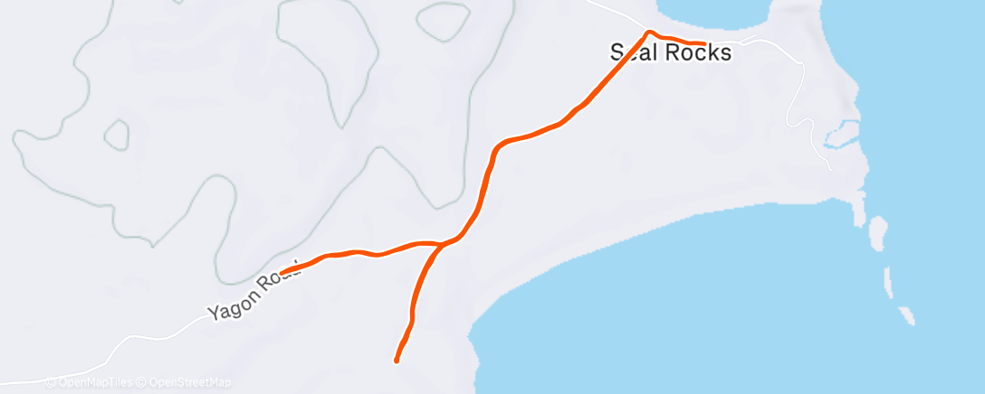 Карта физической активности (Afternoon Run)