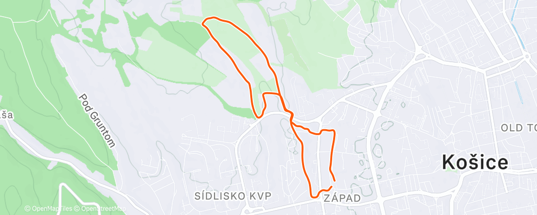 Map of the activity, Lunch Run