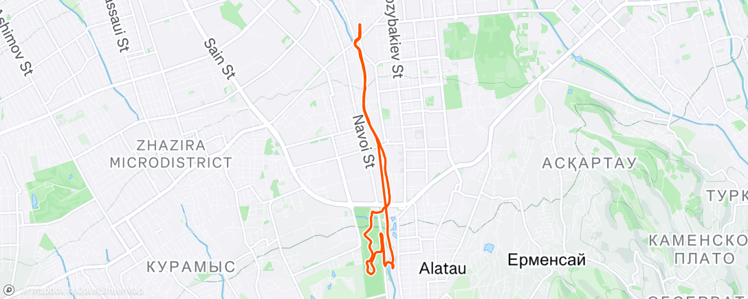 Map of the activity, Morning Run