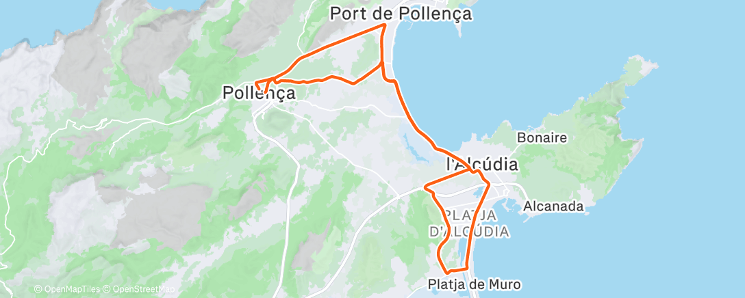 Карта физической активности (Afternoon Ride)