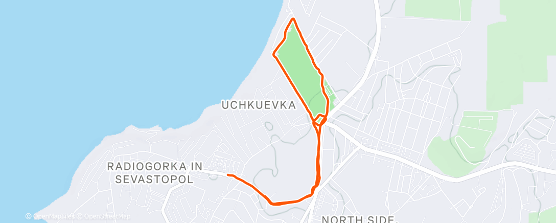 Карта физической активности (Ночной забег)