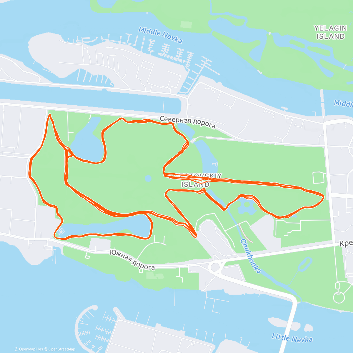 Карта физической активности (СитиБут от Биотропики)