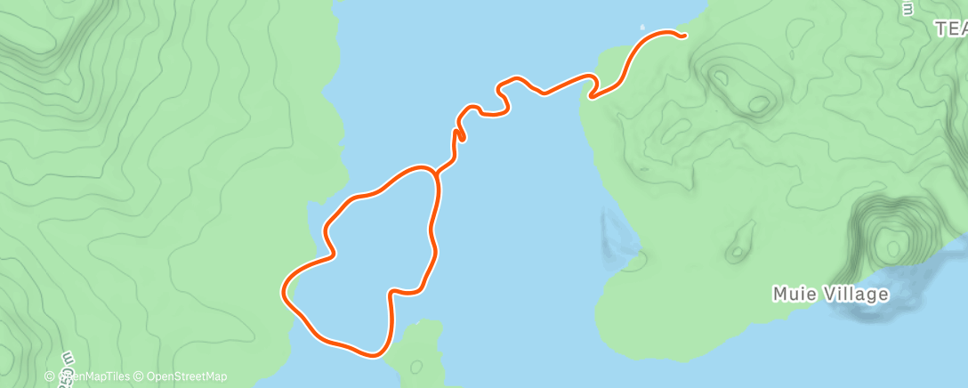 Map of the activity, Zwift - Race: The Zwifty Fifty with DZR (A) on Deca Dash in Watopia