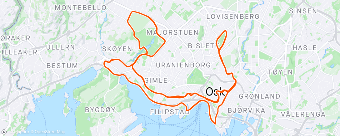 Map of the activity, Oslo Maraton 2:59:43