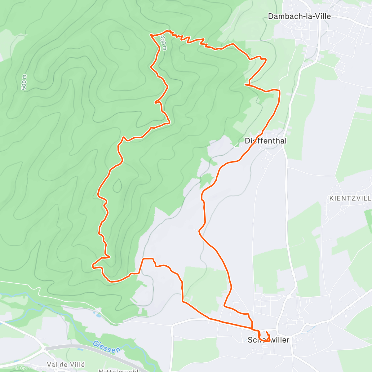 Карта физической активности (Trail le matin 🐗)