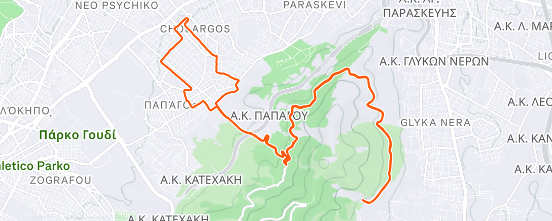 Карта физической активности (Afternoon Run)