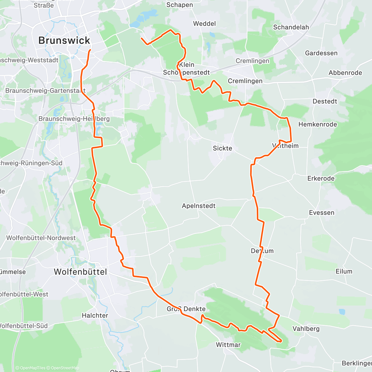 Карта физической активности (Last Dance in 2025 🫡)