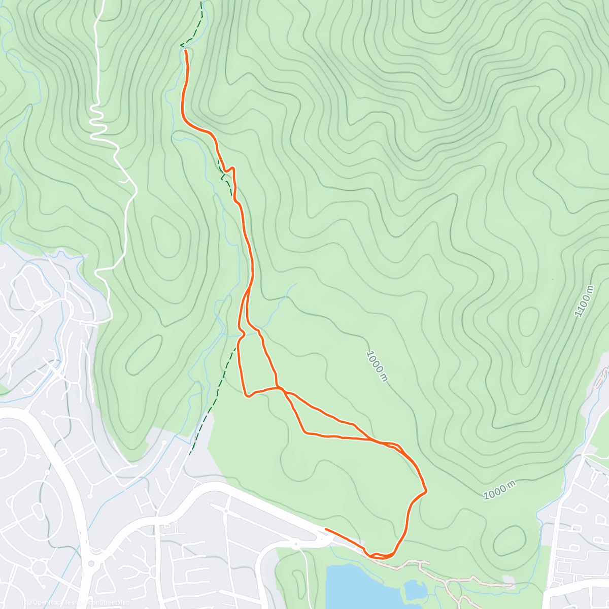 Карта физической активности (El Molino con Carla, Carmen Gloria y Daniel 😍)