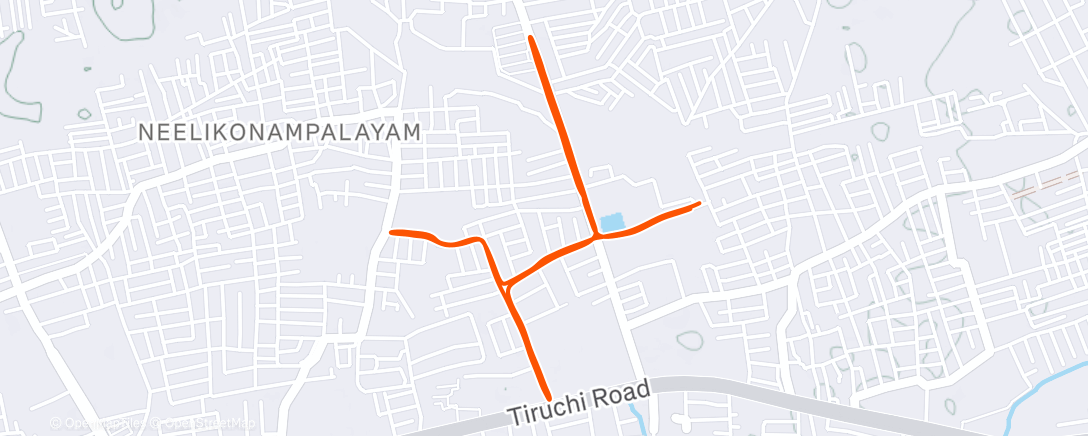 Map of the activity, Morning Run