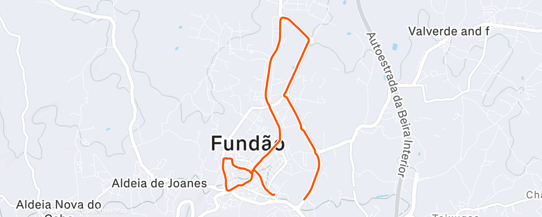 Map of the activity, Evening Run