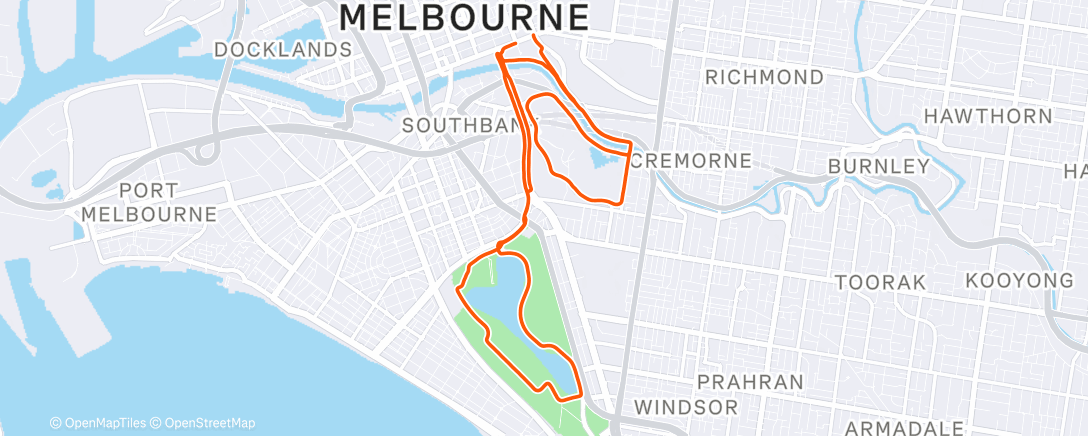 Карта физической активности (Longy)