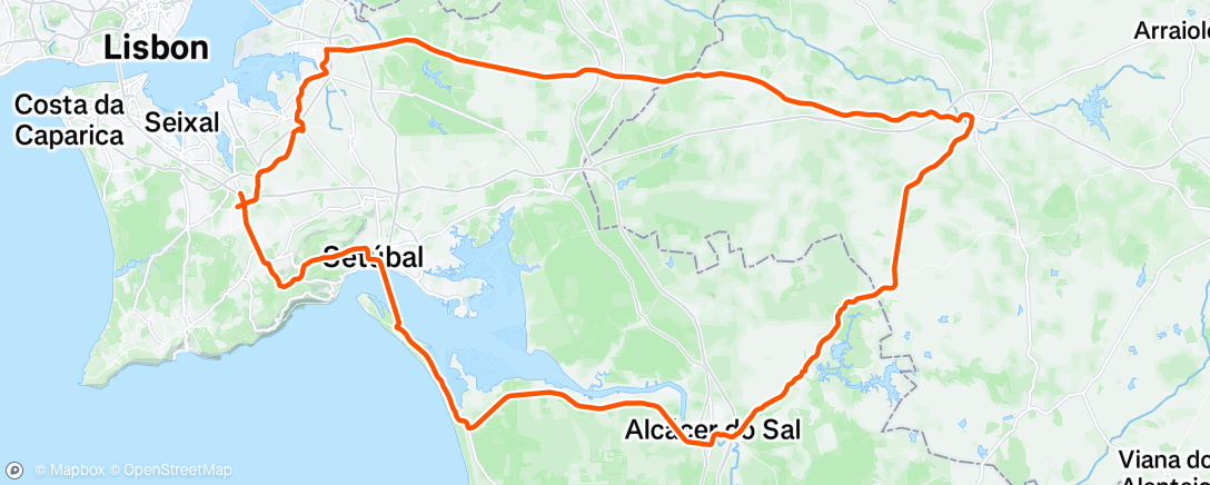 Map of the activity, Zona 2