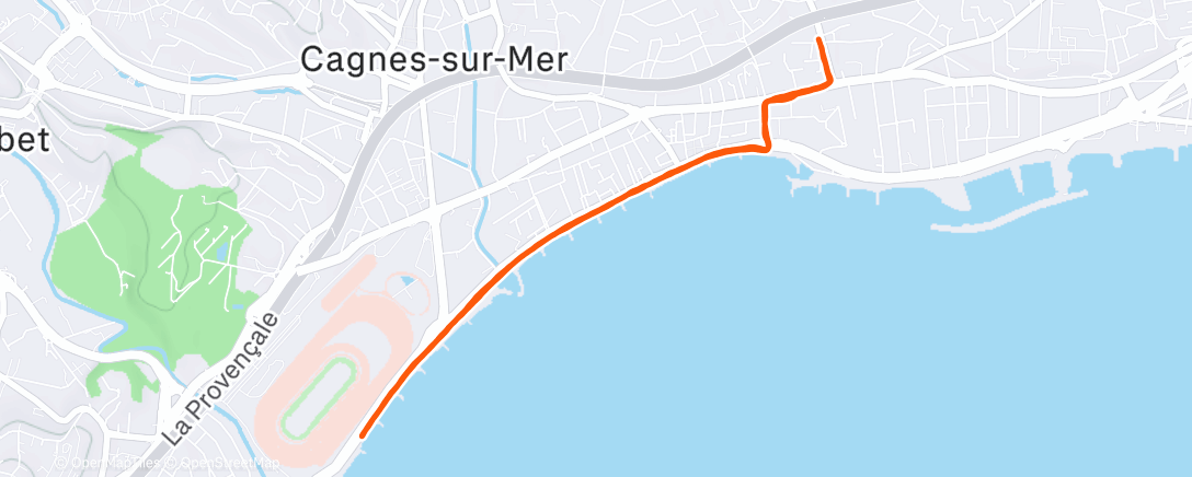 Map of the activity, Morning Run