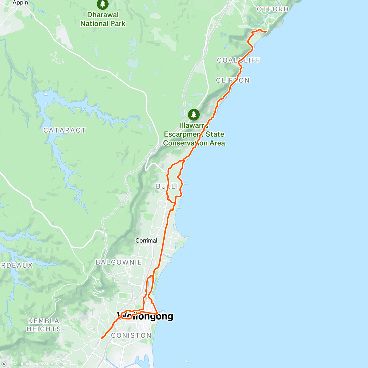 Карта физической активности (Bald Hill 🪂)