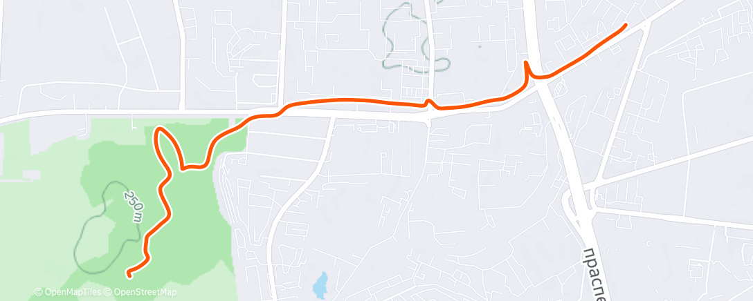 Map of the activity, Полуденный забег