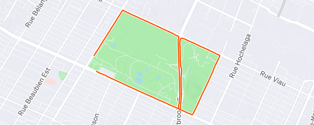 Map of the activity, Après l’examen d’anatomie 💪