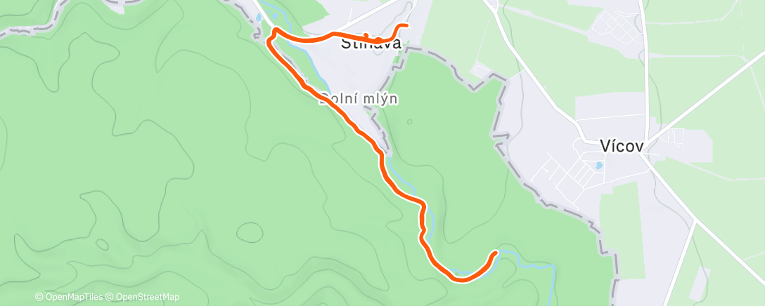 Карта физической активности (Family Run 🚺🚹🚼)