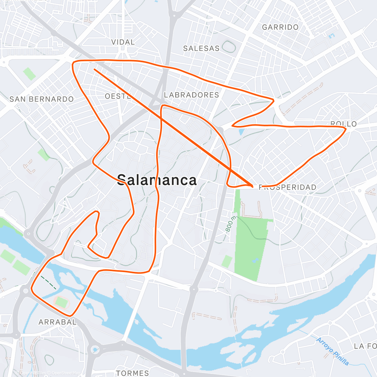 Карта физической активности (San Silvestre Salamanca 2025)