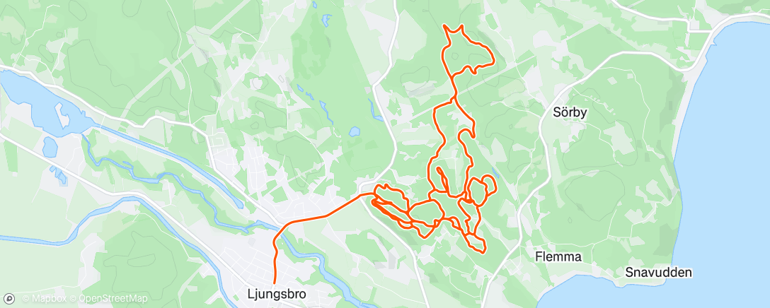 Map of the activity, Se om jag kan få gröna segmentet