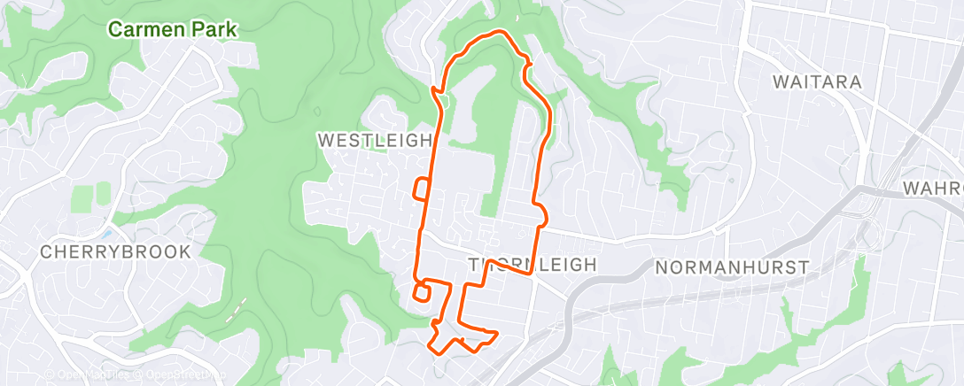 Карта физической активности (Morning Run)