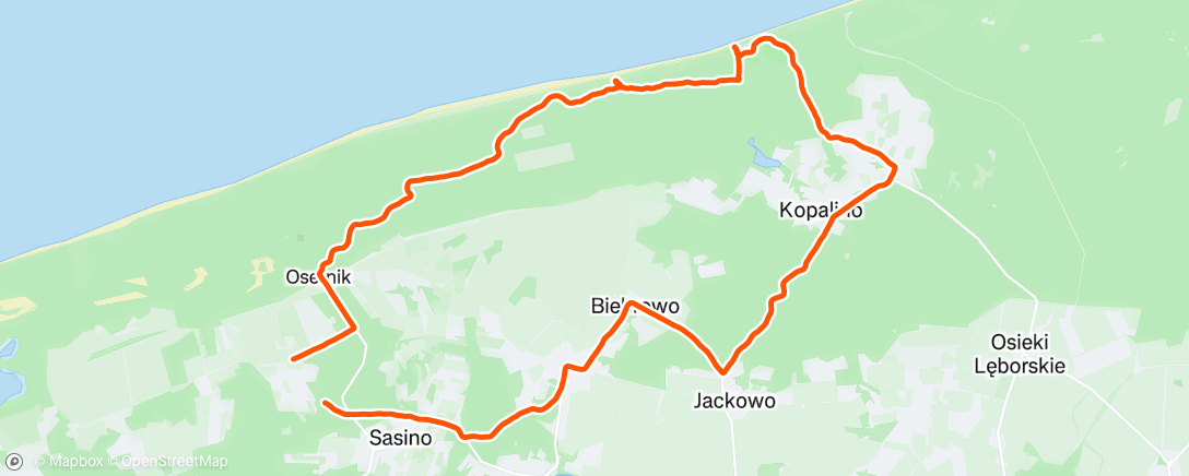 Map of the activity, Kopalino