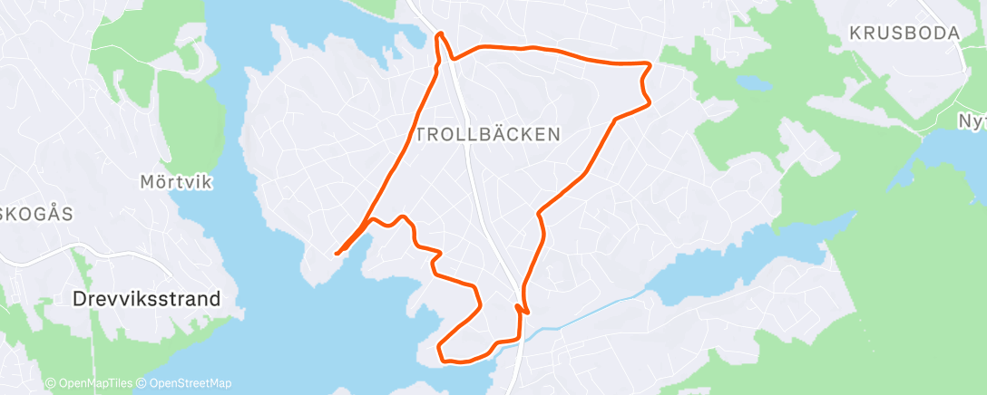 Карта физической активности (Morning Run)