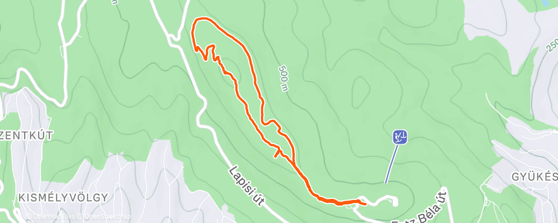 Map of the activity, Morning Walk